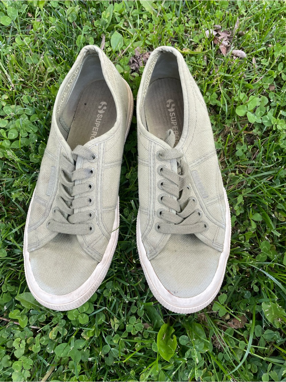 Superga Women's Canvas Sneakers in Light Olive